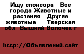 Ищу спонсора - Все города Животные и растения » Другие животные   . Тверская обл.,Вышний Волочек г.